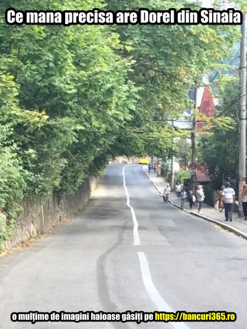 Dorel a trasat liniile din Sinaia