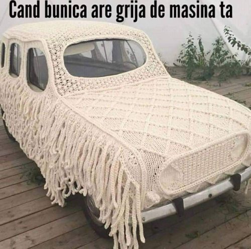 Ce husa a impletit bunica pentru masina