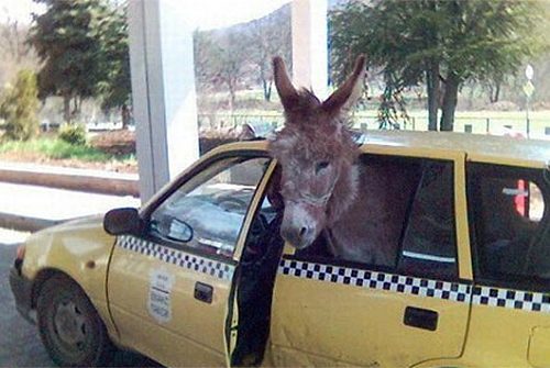 ce mai cara lumea cu taxiul