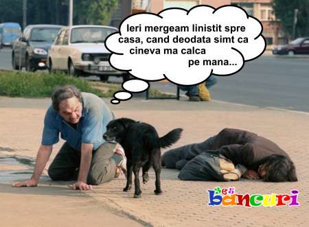 betiv in patru labe