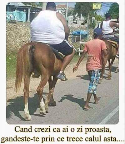 saracul cal