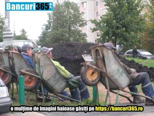 timpul trece leafa merg noi muncim cu spor