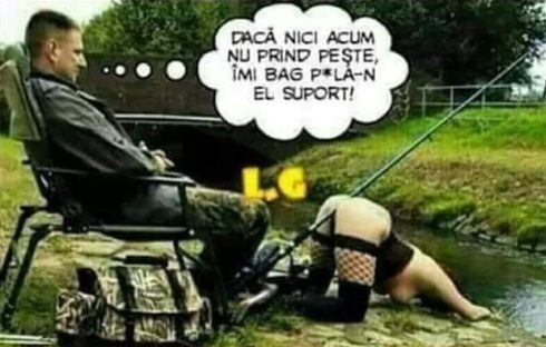 cel mai misto suport pestru peste