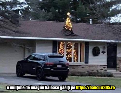 ce faci Cand bradul de craciun este foarte inalt