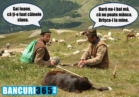 de ce nu poate manca cainele slana ardeleanului