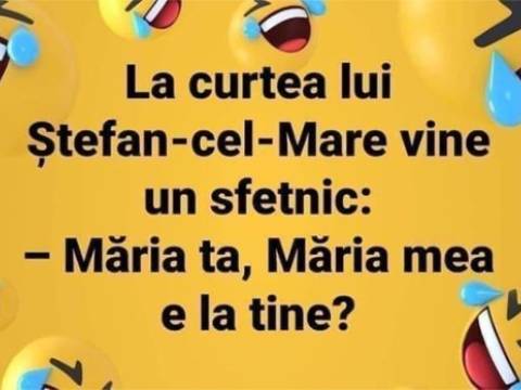 Ce vrea un sfetnic de la Stefan cel Mare