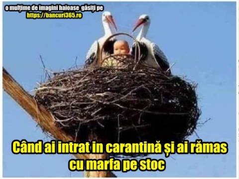 Cum crede un copil ca a fost adus pe lume