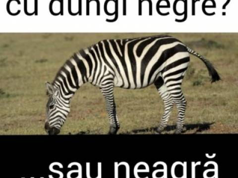 Bancul zilei 10 decembrie 2020