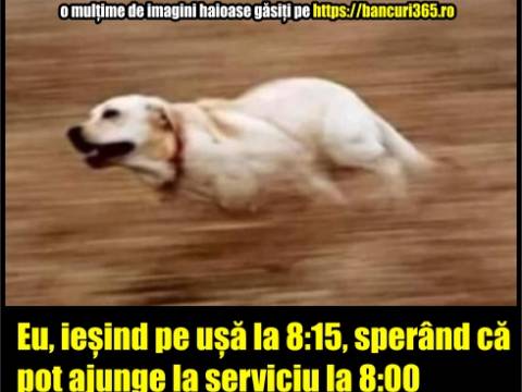 Bancul zilei - ce a făcut un tip să nu mai &icirc;nt&acirc;rzie la servici