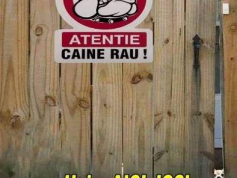 De ce era cel mai rau caine