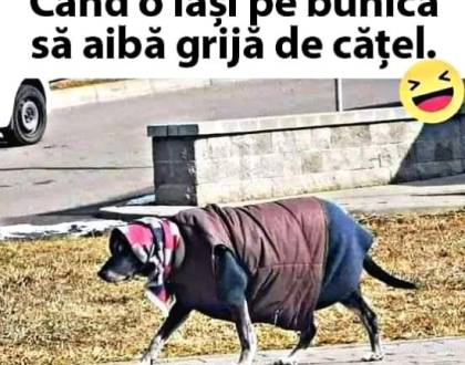 De ce bunica merge la sedințe la școală