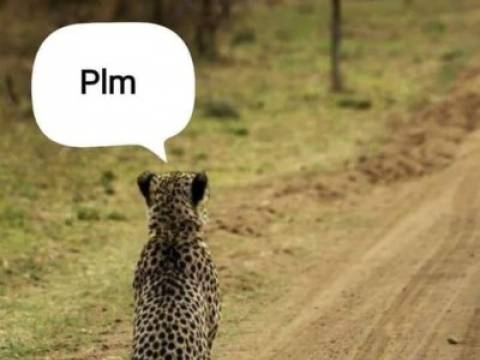 Ce pedeapsa primeste un sofer oprit de Politie