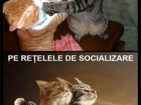 Cum și-a dat seama martorul că acuzatul era beat