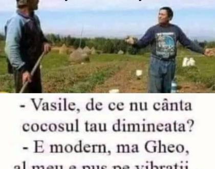 Cine c&acirc;ntă &icirc;n grădină la Ion