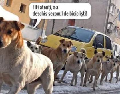 Ce reclamă un bărbat unui vecin de-al lui