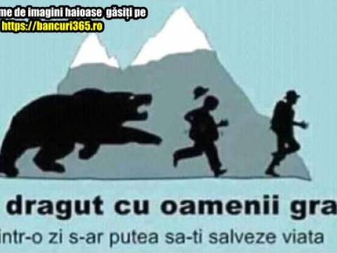 Cele mai bune bancuri cu ursul