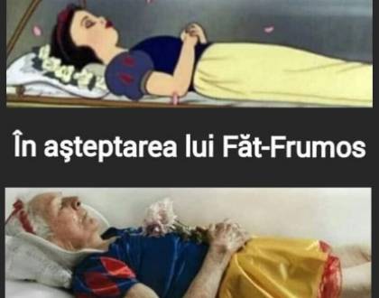 Cum au rezolvat insarcinarile imparatului pretendentii la mana fiicei sale 