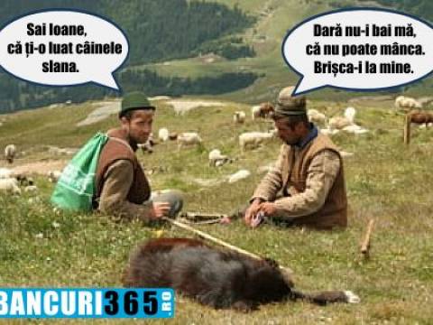 Cele mai tari bancuri cu ardeleni