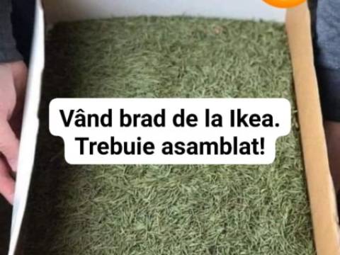 Ce se &icirc;nt&acirc;mplă dacă ai mașina verde