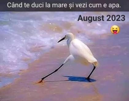 Cum s-a intors un turist de pe litoral