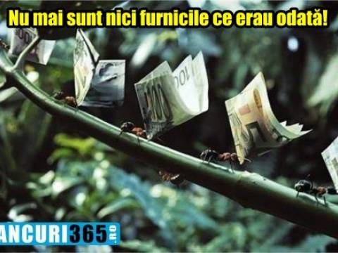 Bancuri tari cu elefantul și furnica