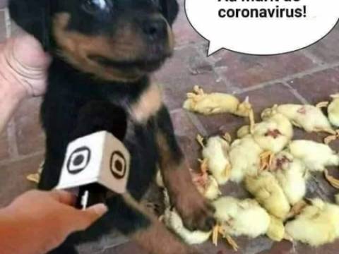 Cum si-a facut Bula tema pentru acasa 