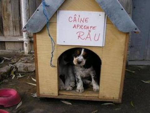 Bunicul povesteste nepotului
