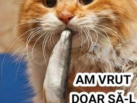 Ce vrea să știe o doamnă de la un pescar