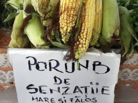 Ce vinde un ţăran la piaţă