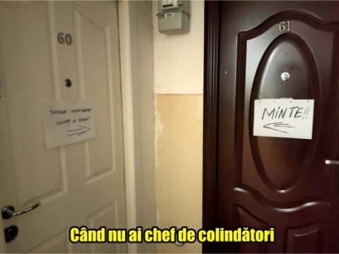 Cine a scris colindul &bdquo;O, brad frumos!&rdquo;