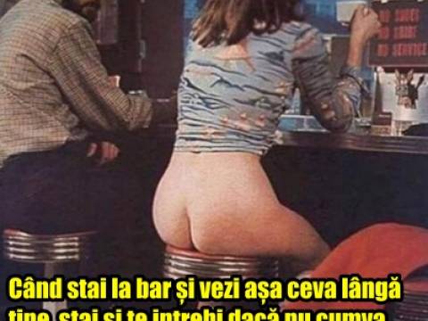 Ce facea o maimuta intr-un bar