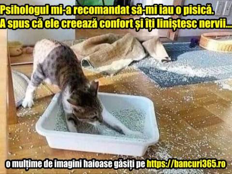 Conversație &icirc;ntre doi psihiatri