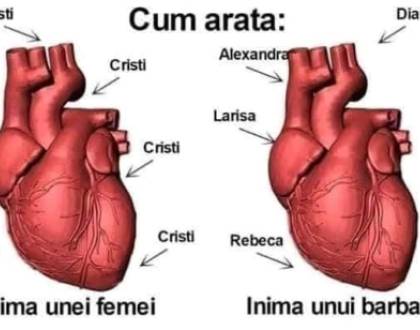 Cum o dă un tip in bară
