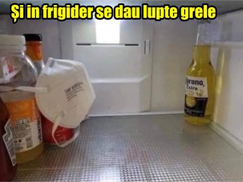 Ce a facut lumea cu liliacul