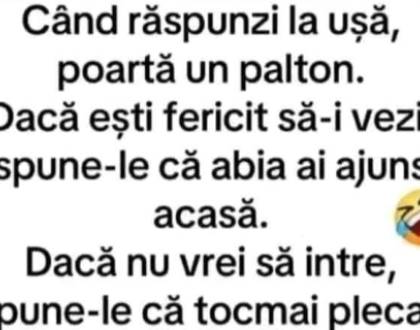 Cine vine in vizită la un șeic cu autocarul