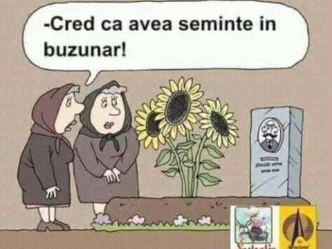 Bancul zilei - cum sunt indeplinite dorintele unui om bogat