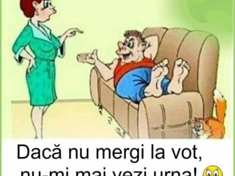 Romane, mergi la vot