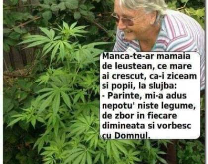 Cum incearca sa scape un narcoman de politisti