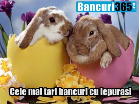 Cele mai bune bancuri cu iepurasul de Paste