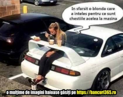 Cum a parcat o soferiță mașina