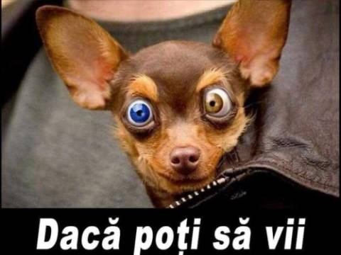 De ce un tip a sunat la Poliție