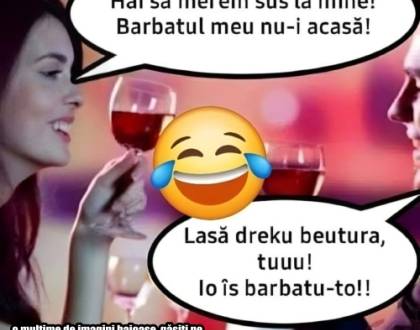 Ce discută Ion cu Vasile