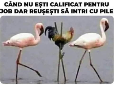 De ce s-a &icirc;nvoit un angajat de la servici