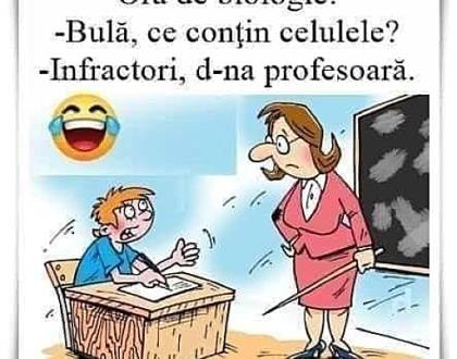 Cum se descurcă Bulișor la ora de matematică