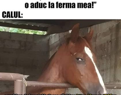 Discuții pe baza unor explicații date de o mamă