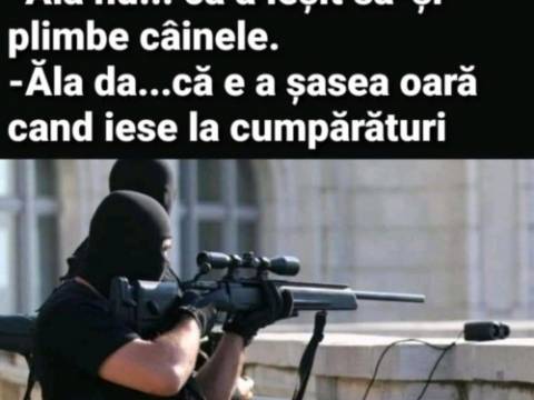 Ce apel face un cetatean catre Politie si Armata