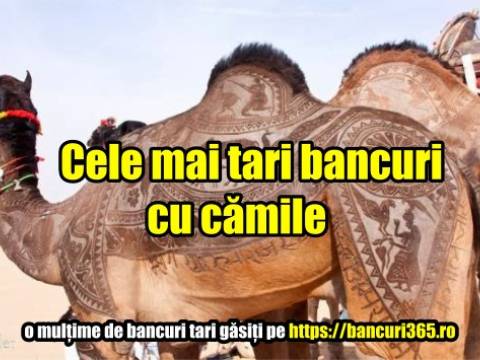Bancuri tari cu camile