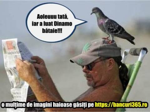 De ce se iau pasarile dupa aia din fata