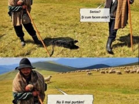 Un  reporter face un reportaj in muntii Carpati