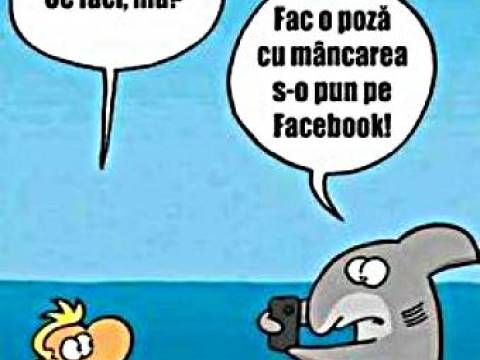 Vezi cum un contabil ii scapa pe naufragiati de un rechin